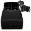 18650 Button Top Batteries With Charger & Storage Case (18650-Kitbt)